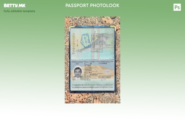 модерен стил на Танзанија пасош нов сегашен шаблон за фото изглед